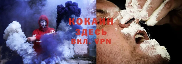 соль ск Абаза