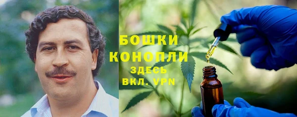 соль ск Абаза