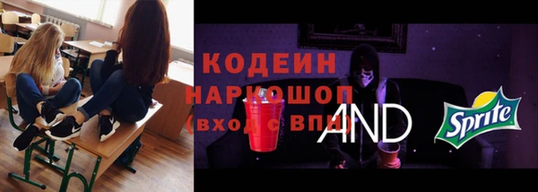 соль ск Абаза
