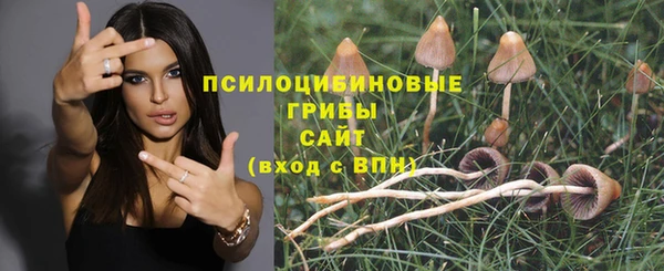 соль ск Абаза